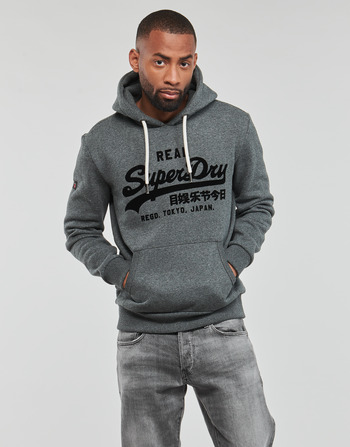 Clothing Men Sweaters Superdry TONAL VL HOODIE Grey