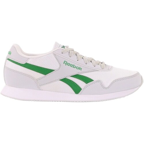 Shoes Men Low top trainers Reebok Sport Royal CL Jog Grey, White