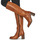 Shoes Women High boots Mjus NITRO BOTTES Brown