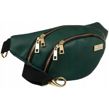 Bags Handbags Peterson DHPTNSASZETKA3K60979 Green