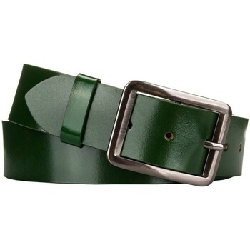 Clothes accessories Belts Peterson PTN4A105GRE49334 Green