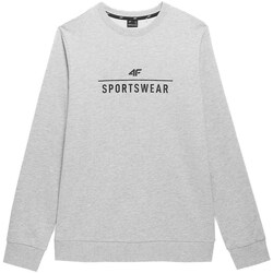 Clothing Men Sweaters 4F SWSM349 Grey