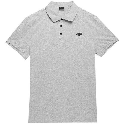Clothing Men Short-sleeved t-shirts 4F SS23TPTSM038 Grey