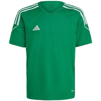 Clothing Boy Short-sleeved t-shirts adidas Originals Tiro 23 League Jersey JR Green
