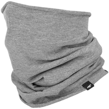 Clothes accessories Scarves / Slings 4F BDAU021 Grey