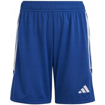 Clothing Boy Cropped trousers adidas Originals Tiro 23 League Blue
