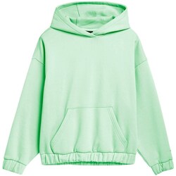 Clothing Women Sweaters 4F SS23TSWSF25542S Green