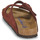 Shoes Women Mules Birkenstock ARIZONA SFB Brown