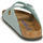 Shoes Mules Birkenstock ARIZONA SFB Blue