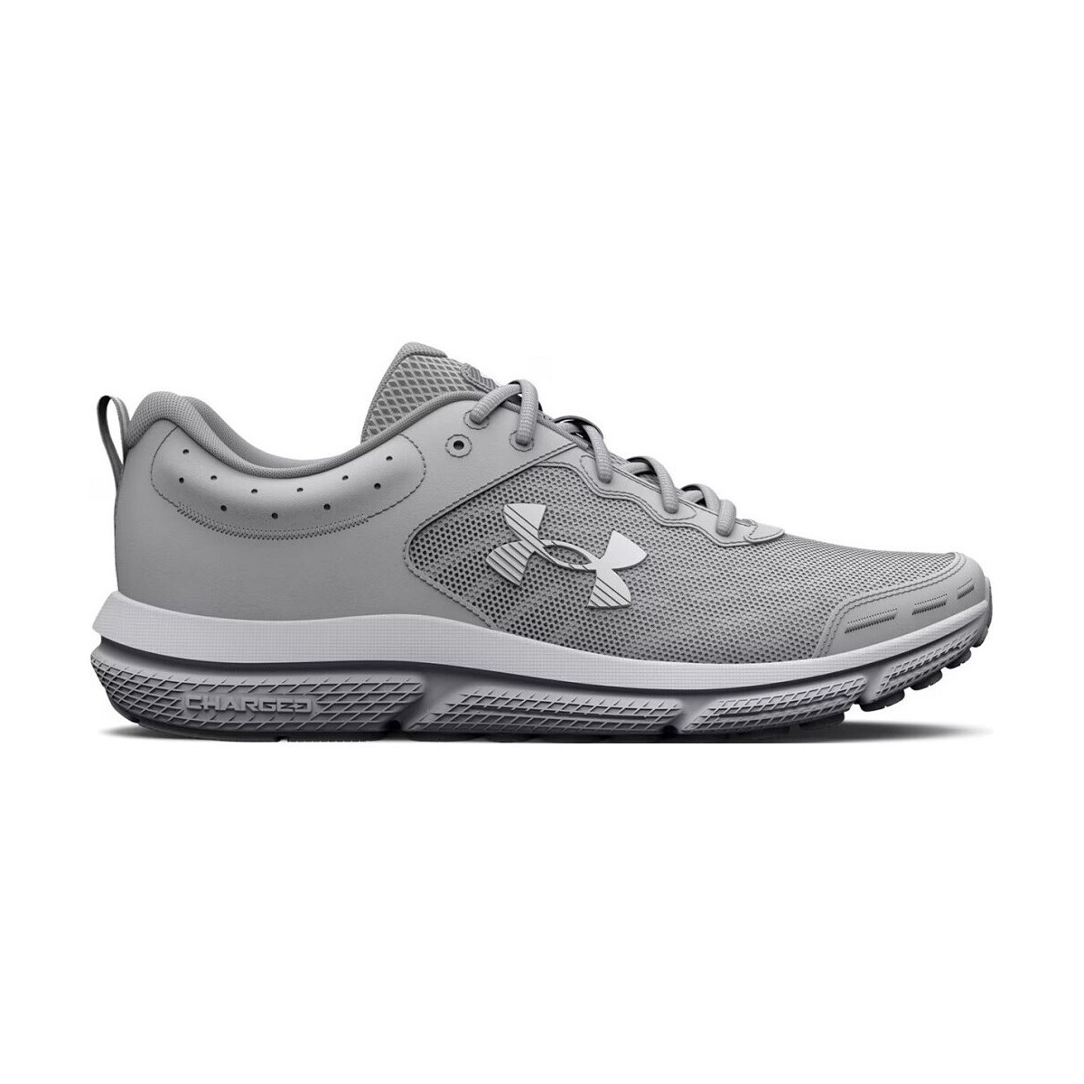 Under Armour Charged Assert 10 Grey