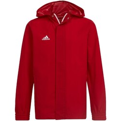 Clothing Boy Jackets adidas Originals Entrada 22 Red