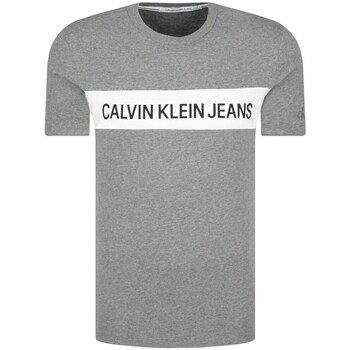 Clothing Men Short-sleeved t-shirts Calvin Klein Jeans 11298944709 Grey