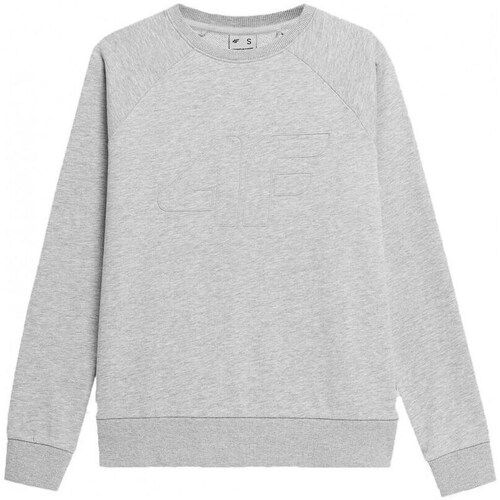 Clothing Women Sweaters 4F SS23TSWSF370CHODNYJASNYSZARYMELAN Grey