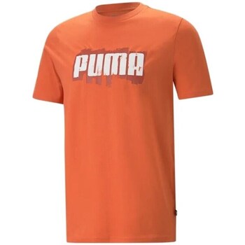 Clothing Men Short-sleeved t-shirts Puma Graphics Wording Tee Orange