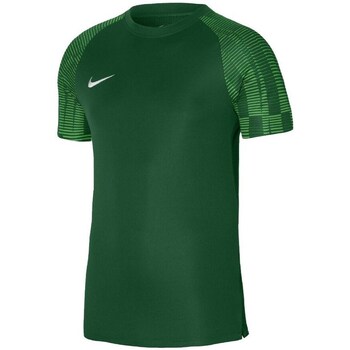 Clothing Men Short-sleeved t-shirts Nike Drifit Academy Green
