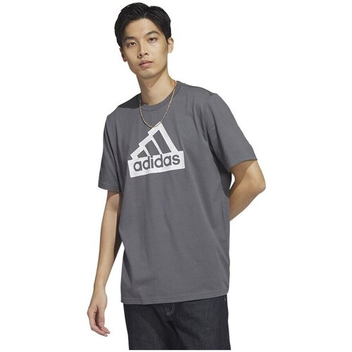 Clothing Men Short-sleeved t-shirts adidas Originals City E Tee Grey