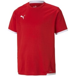 Clothing Boy Short-sleeved t-shirts Puma JR Teamliga Jersey Red