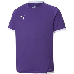 Clothing Boy Short-sleeved t-shirts Puma JR Teamliga Jersey Purple