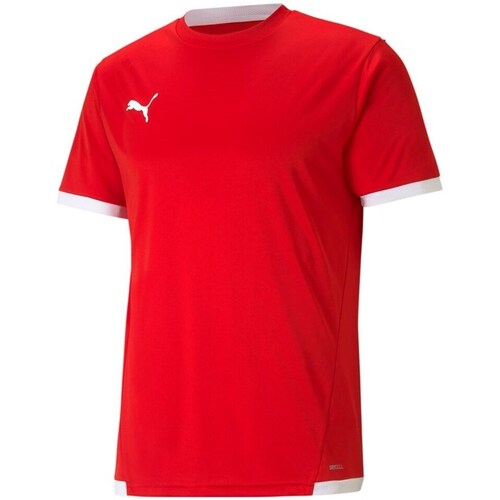 Clothing Men Short-sleeved t-shirts Puma Teamliga Jersey Red