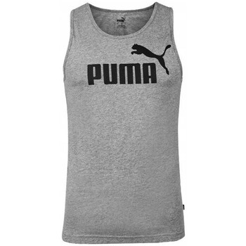 Clothing Men Short-sleeved t-shirts Puma 58667003 Grey