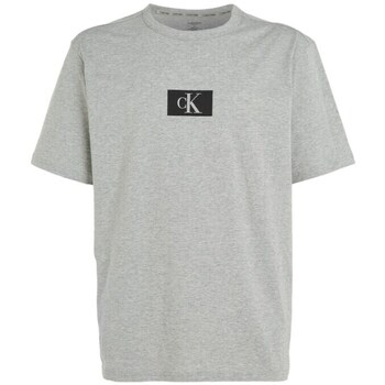 Clothing Men Short-sleeved t-shirts Calvin Klein Jeans 000NM2399EP7A Grey
