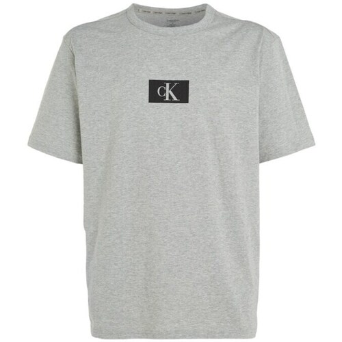 Clothing Men Short-sleeved t-shirts Calvin Klein Jeans 000NM2399EP7A Grey