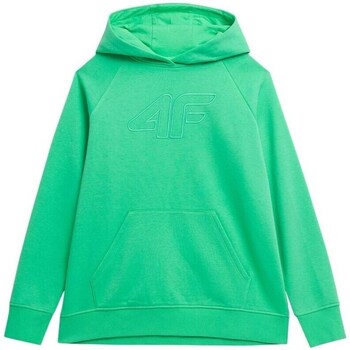 Clothing Women Sweaters 4F SS23TSWSF53541S Green