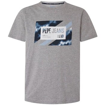 Clothing Men Short-sleeved t-shirts Pepe jeans PM508685933 Grey