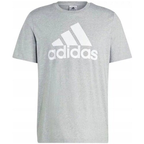 Clothing Men Short-sleeved t-shirts adidas Originals IC9350 Grey