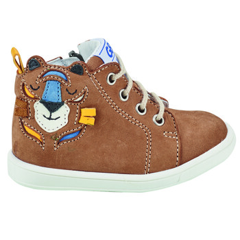 Shoes Boy Hi top trainers GBB BASILE Brown