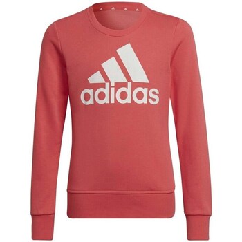 Clothing Girl Sweaters adidas Originals HE1984 Pink