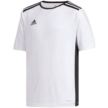 Clothing Boy Short-sleeved t-shirts adidas Originals CF1044 White