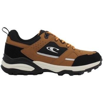 Shoes Men Low top trainers O'neill Stratton Men Low Brown