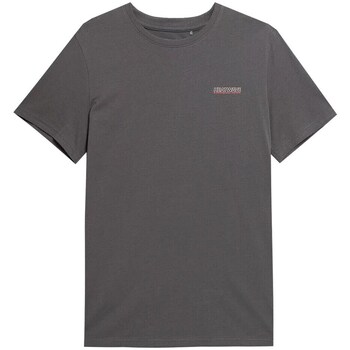 Clothing Men Short-sleeved t-shirts 4F M355 Grey