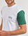 Clothing Men Short-sleeved t-shirts Vans COLORBLOCK VARSITY SS TEE White
