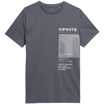 Clothing Men Short-sleeved t-shirts 4F M306 Grey