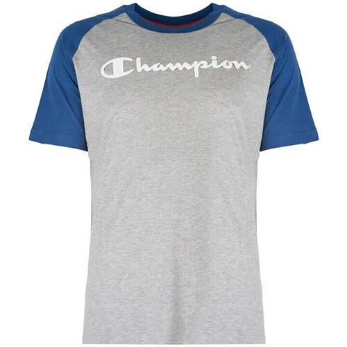 Clothing Men Short-sleeved t-shirts Champion 212688 Grey