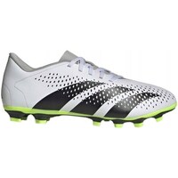 Shoes Men Football shoes adidas Originals buty korki predator accuracy.4 fxg gz0013 Black, White