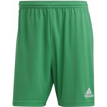 Clothing Men Cropped trousers adidas Originals IC7405 Green
