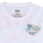 Clothing Boy Short-sleeved t-shirts Levi's SCENIC SUMMER TEE Multicolour / White