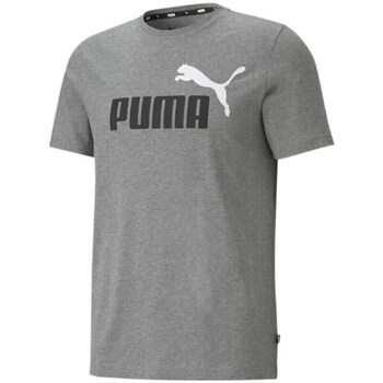 Clothing Men Short-sleeved t-shirts Puma 58675903 Grey