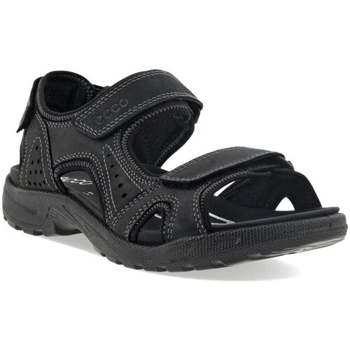Shoes Men Sandals Ecco 69002451052 Black