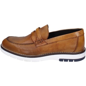 Eveet  Ez196  Men's Loafers / Casual Shoes In Brown