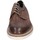 Shoes Men Derby Shoes & Brogues Eveet EZ245 Brown