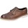 Shoes Men Derby Shoes & Brogues Eveet EZ245 Brown