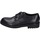 Shoes Men Derby Shoes & Brogues Eveet EZ247 Black