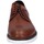 Shoes Men Derby Shoes & Brogues Eveet EZ320 Brown