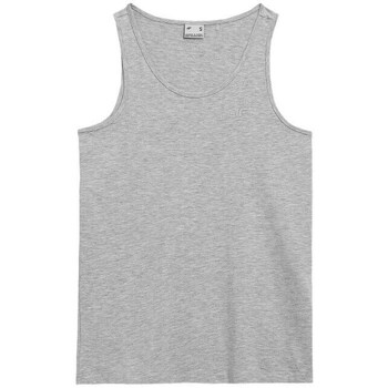 Clothing Women Short-sleeved t-shirts 4F H4L22TSD35127M Grey