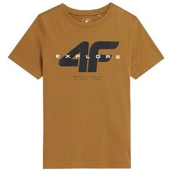 Clothing Boy Short-sleeved t-shirts 4F 4FJSS23TTSHM29082S Brown