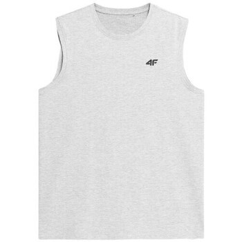 Clothing Men Short-sleeved t-shirts 4F 4FSS23TSLEM01627M Grey